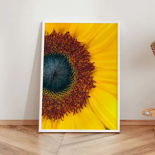 Affiche fleur tournesol gros plan botanique