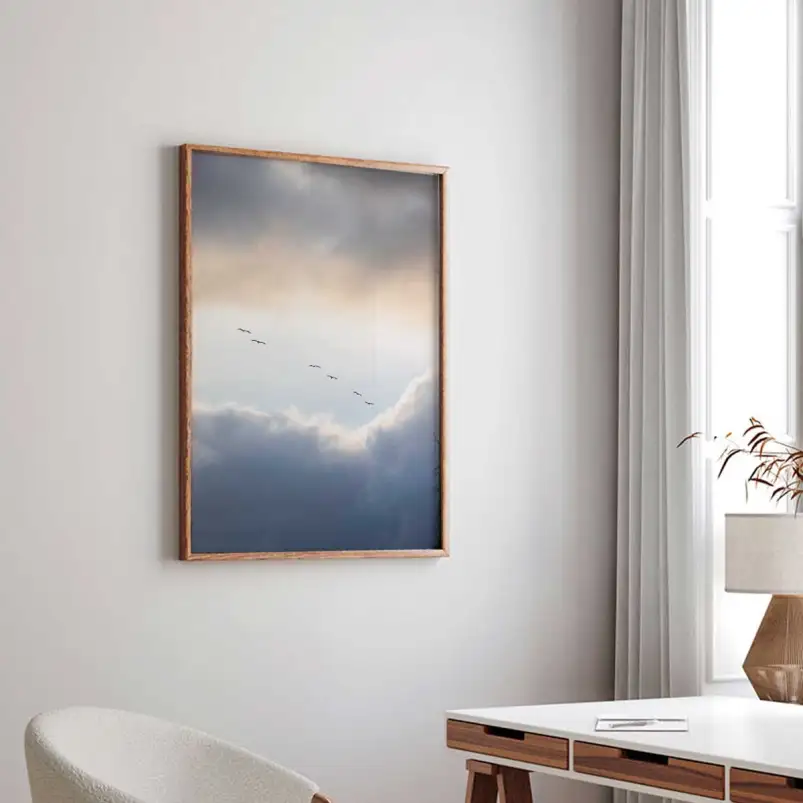 Affiche photographie ciel nuageux et oiseaux