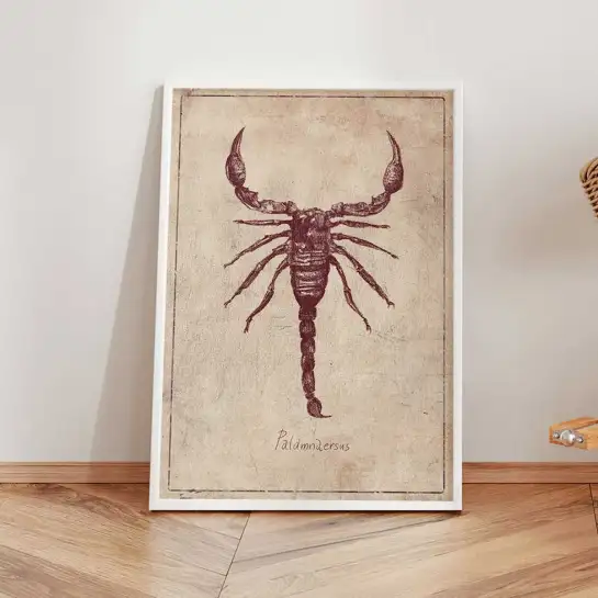 Affiche illustration scorpion planche botanique