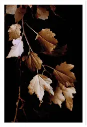 Tableau plante - Photo vintage Feuilles de bronze
