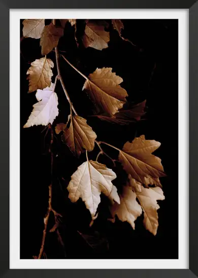 Tableau plante - Photo vintage Feuilles de bronze