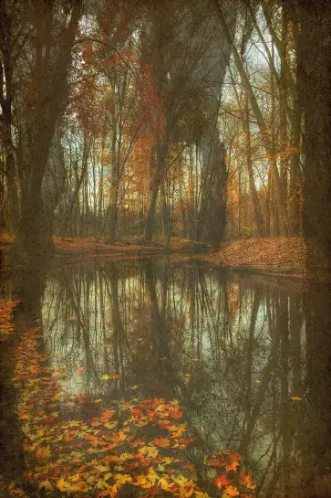 Tableau Paysage Automnal à l’Aquarelle - Étang aux Feuilles Rouges