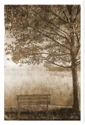 Tableau Paysage Vintage Sous l’Arbre Solitaire - Illustration Sépia