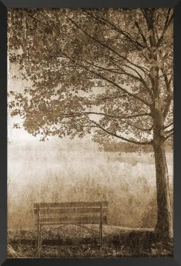 Tableau Paysage Vintage Sous l’Arbre Solitaire - Illustration Sépia