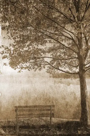 Tableau Paysage Vintage Sous l’Arbre Solitaire - Illustration Sépia