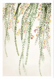 Affiche Botanique Zen à l’Aquarelle - Feuillage Retombant