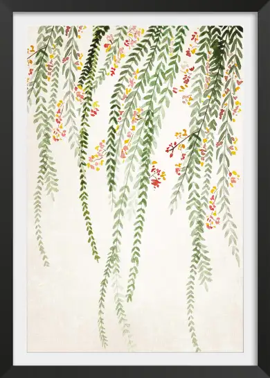 Affiche Botanique Zen à l’Aquarelle - Feuillage Retombant