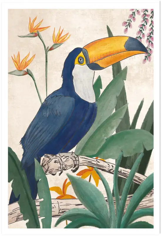 Affiche toucan tropical -Aquarelle oiseau et jungle