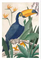 Affiche toucan tropical -Aquarelle oiseau et jungle