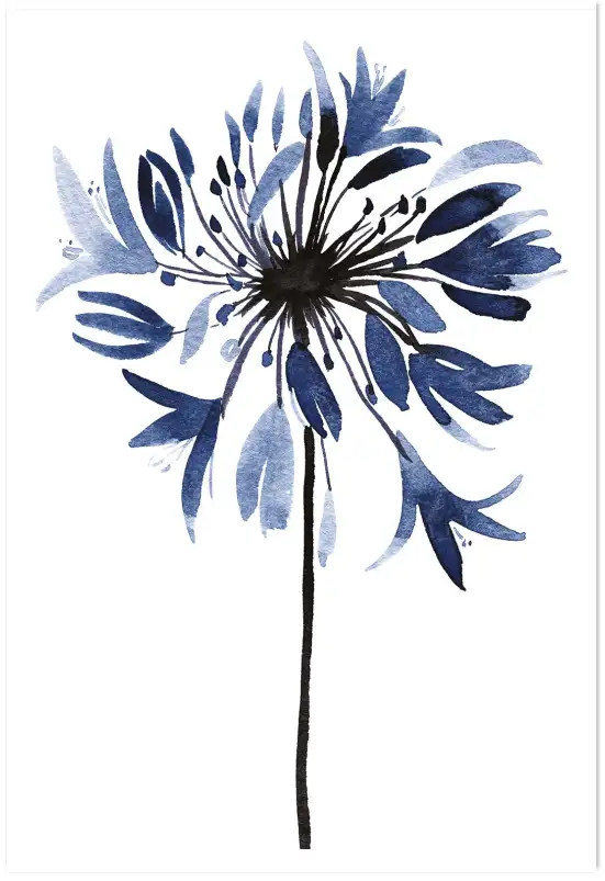 Affiche fleur agapanthe - illustration botanique bleue