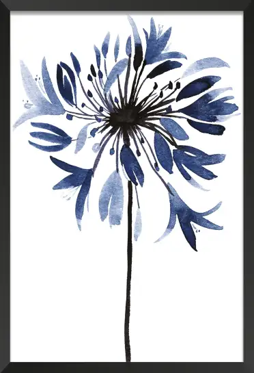 Affiche fleur agapanthe - illustration botanique bleue