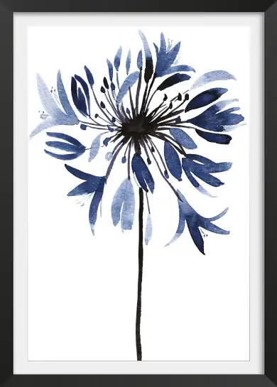 Affiche fleur agapanthe - illustration botanique bleue