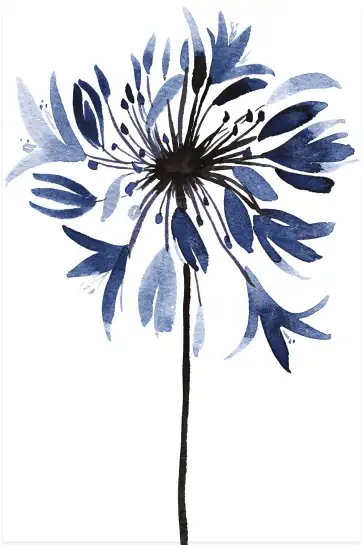 Affiche fleur agapanthe - illustration botanique bleue