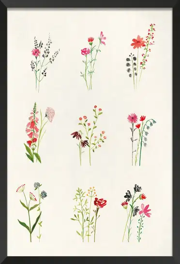 Affiche étude fleurs champêtres - Illustration aquarelle florale