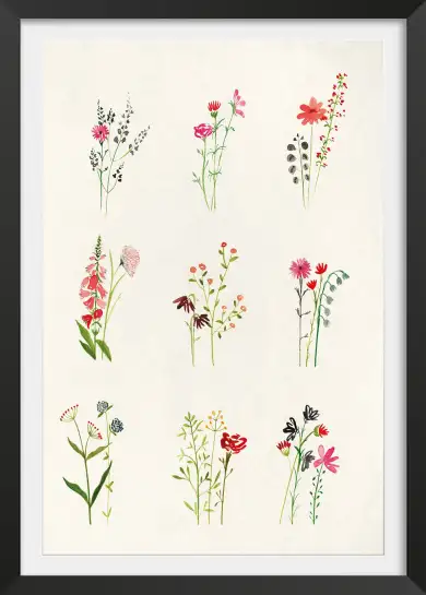 Affiche étude fleurs champêtres - Illustration aquarelle florale