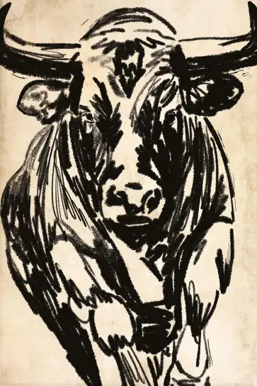 Affiche taureau dessin au fusain - Illustration brute et expressive