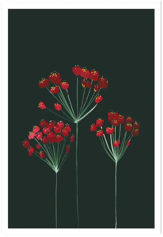 Affiche fleurs rouges fond sombre - Illustration botanique élégante