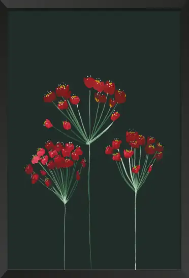 Affiche fleurs rouges fond sombre - Illustration botanique élégante
