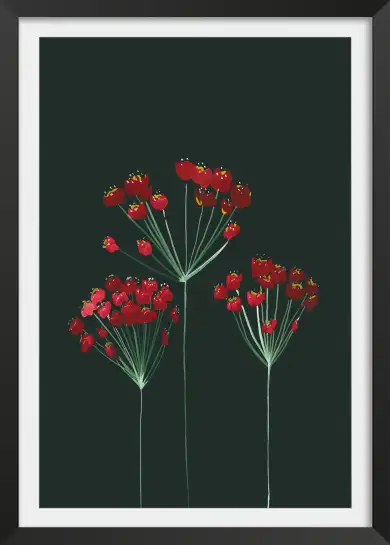 Affiche fleurs rouges fond sombre - Illustration botanique élégante