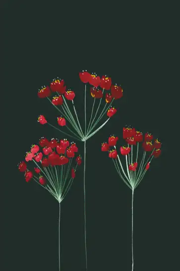 Affiche fleurs rouges fond sombre - Illustration botanique élégante