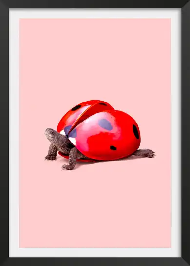 Affiche tortue coccinelle - photo surréaliste rose