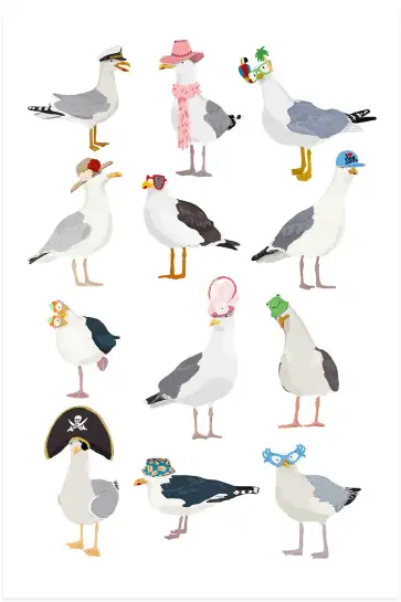 Affiche mouettes lookées - illustration humour animaux