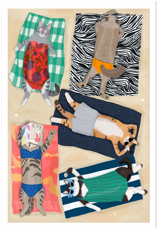 Affiche chats bain de soleil - design plage et humour