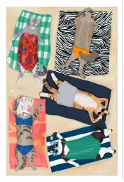 Affiche chats bain de soleil - design plage et humour