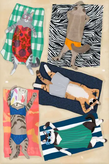 Affiche chats bain de soleil - design plage et humour