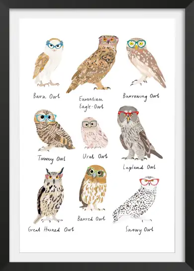Affiche chouettes à lunettes - illustration oiseaux humour
