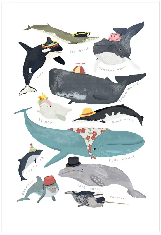 Affiche Baleines & Cétacés à Chapeaux - Illustration Éducative