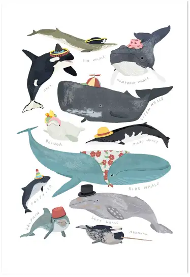 Affiche Baleines & Cétacés à Chapeaux - Illustration Éducative