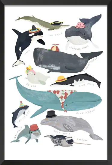 Affiche Baleines & Cétacés à Chapeaux - Illustration Éducative