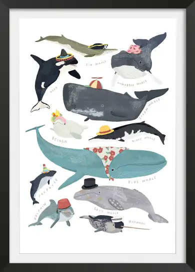 Affiche Baleines & Cétacés à Chapeaux - Illustration Éducative