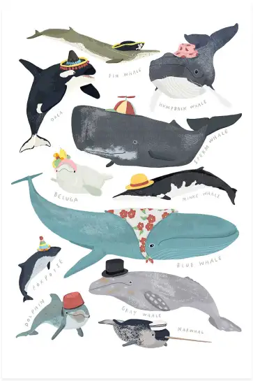 Affiche Baleines & Cétacés à Chapeaux - Illustration Éducative