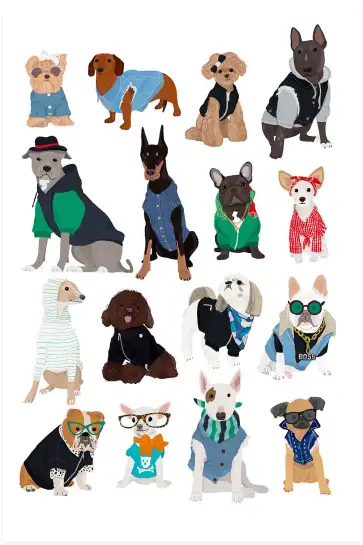 Affiche Chiens Lookés - Design Mode & Accessoires Canins