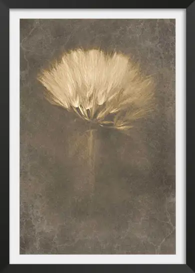 Affiche fleur de pissenlit - photographie artistique sépia vintage