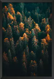 Couleur d'automne en haute savoie - affiche foret