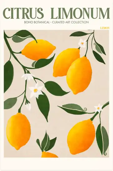 Affiche Botanique - Citrons de Sicile Citrus Limonum