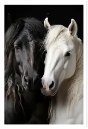 Affiche Chevaux Complices - Portrait de cheval noir et blanc