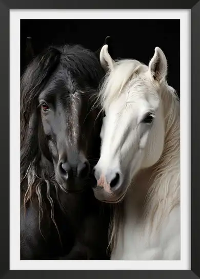 Affiche Chevaux Complices - Portrait de cheval noir et blanc
