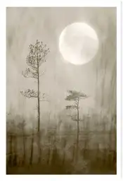 Affiche nature Pin brumeux sous la pleine lune