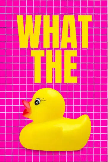 Affiche illustration décalée what the duck