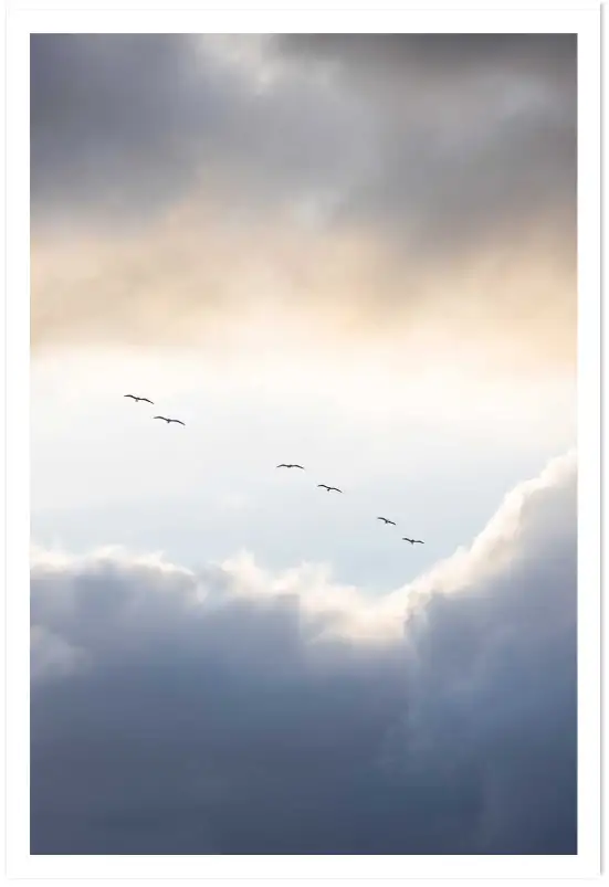 Affiche photographie ciel nuageux oiseaux