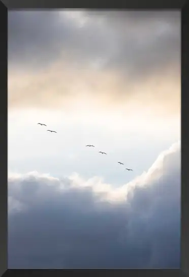 Affiche photographie ciel nuageux oiseaux