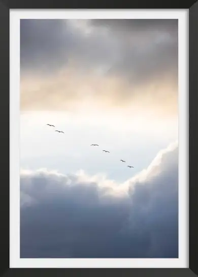 Affiche photographie ciel nuageux oiseaux