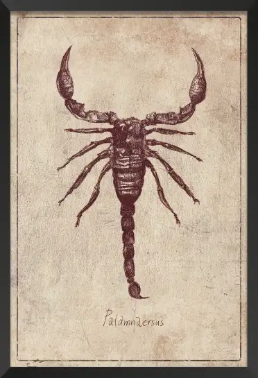Affiche poster vintage scorpion palamnaeus