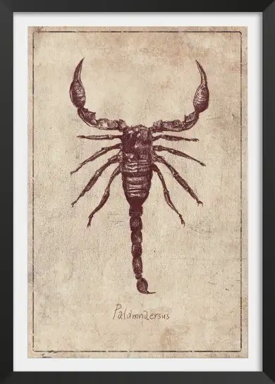Affiche poster vintage scorpion palamnaeus