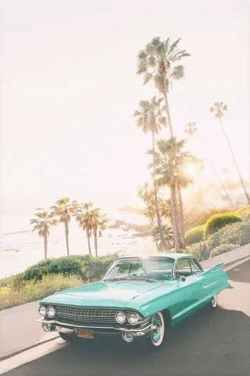 Affiche poster vintage californie palmiers