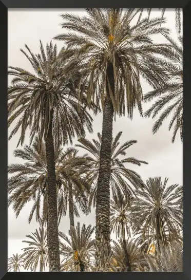 Affiche photographie palmiers ciel voilé